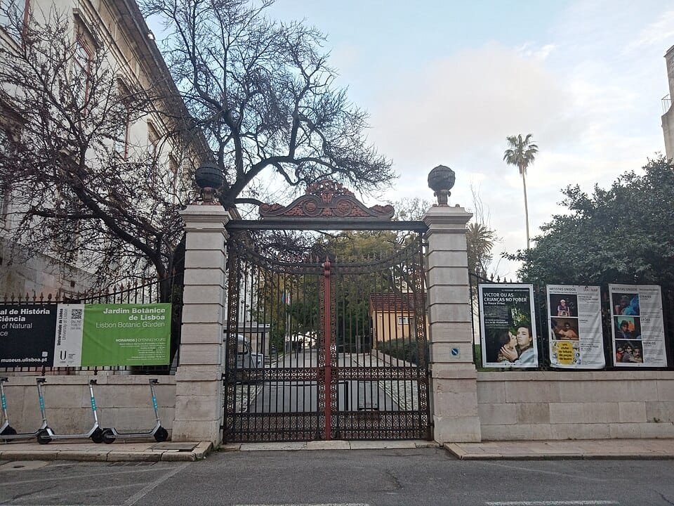 Lisbon Botanical Garden