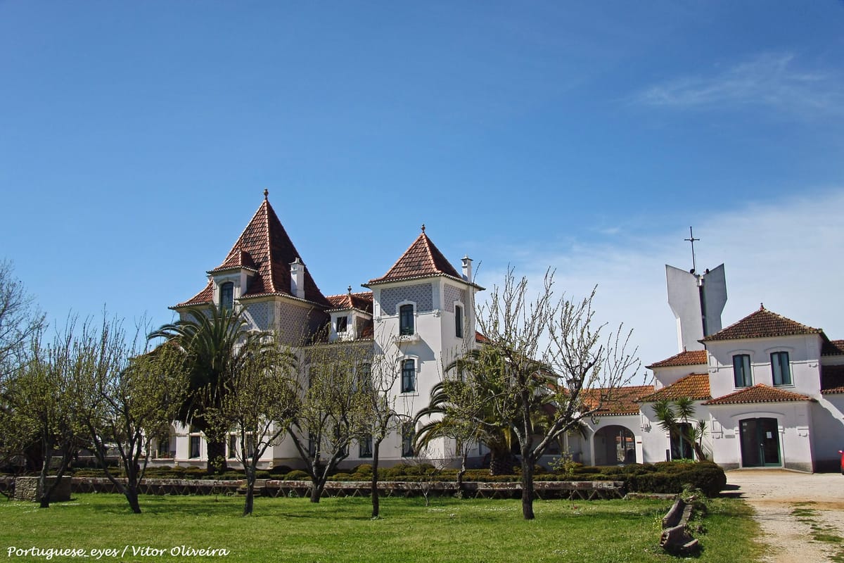 Museu Egas Moniz