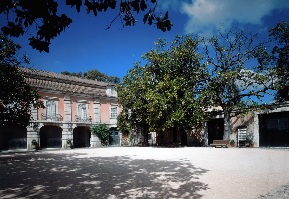 Palácio Angeja-Palmela, Museu Nacional do Traje