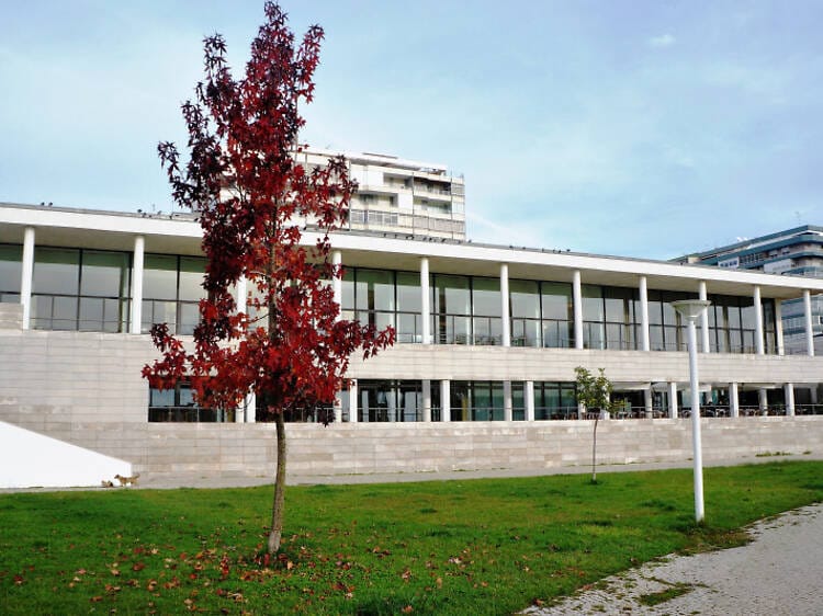 Leal Rios Foundation