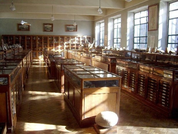 Décio Thadeu Museum