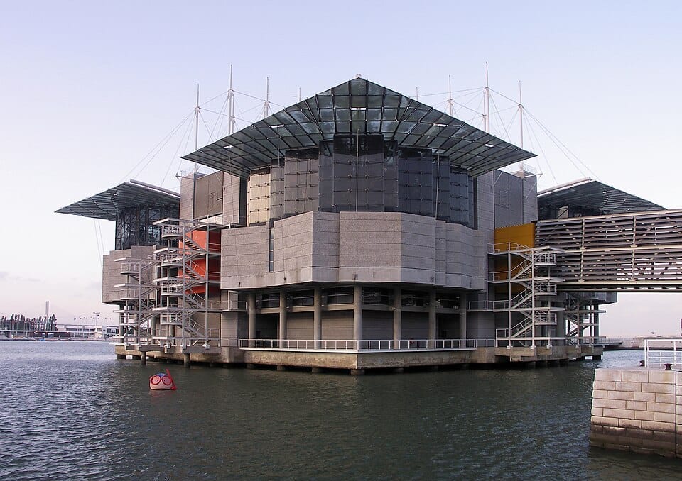 Lisbon Oceanarium